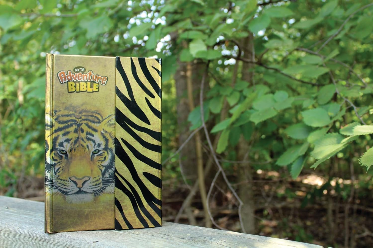 NKJV, Adventure Bible, Hardcover, Full Color, Magnetic Closure - Image 4