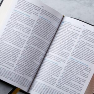 Bibles