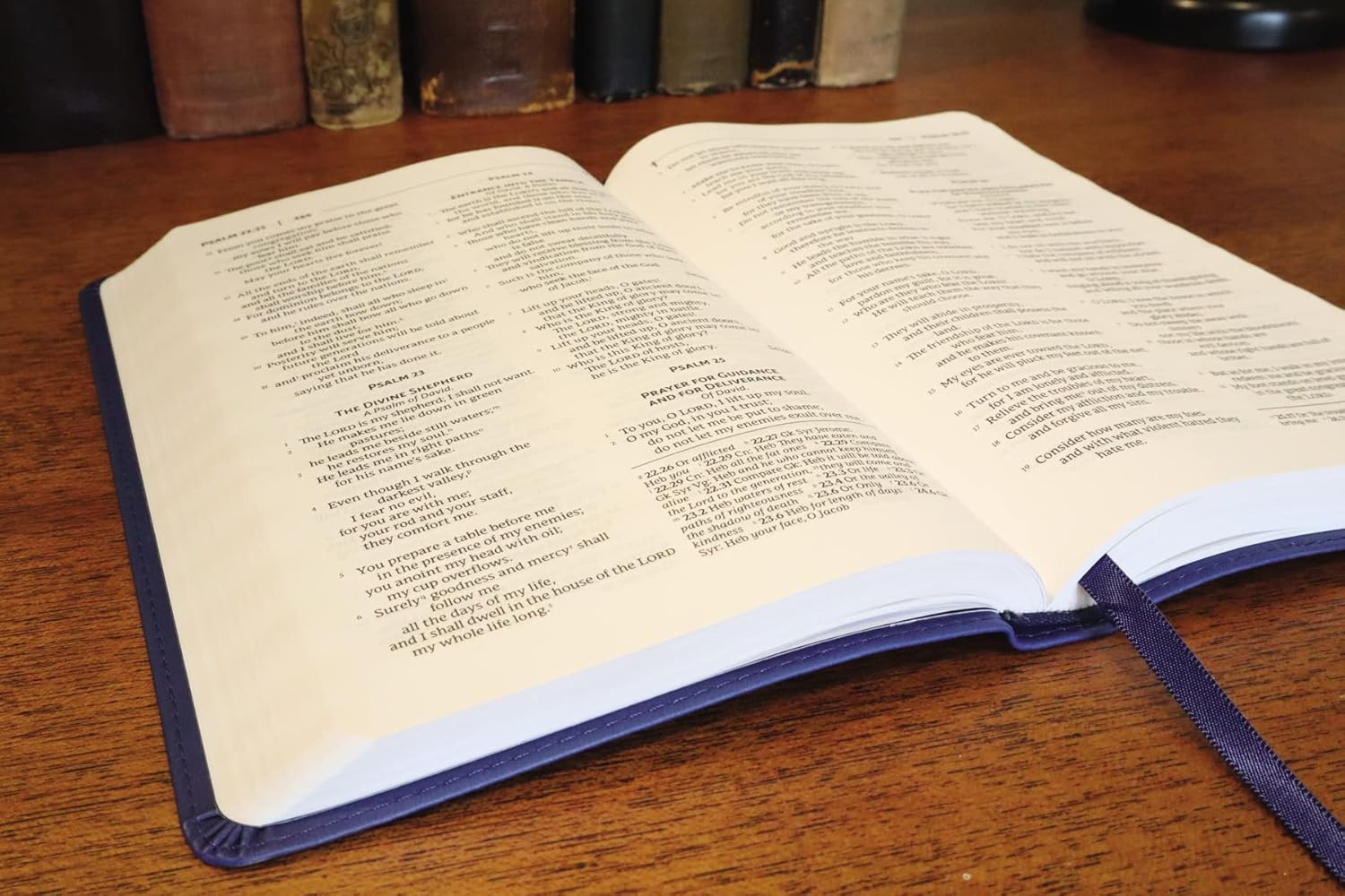 NRSVue, Gift Bible, Leathersoft, Blue, Comfort Print - Image 2