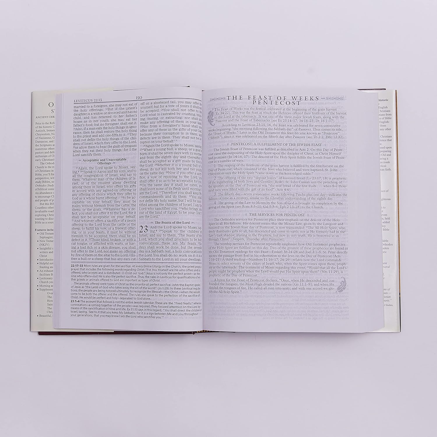 The Orthodox Study Bible, Hardcover: Ancient Christianity Speaks to Today's World - Image 3