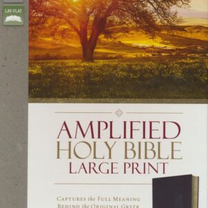 Zondervan Amplified Holy Bible, Large Print, Bonded Leather, Burgundy (English, Leather / fine binding)