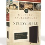 Zondervan NIV, Cultural Backgrounds Study Bible (Context Changes Everything), Bonded Leather, Black, Red Letter (English, Leather / fine binding)