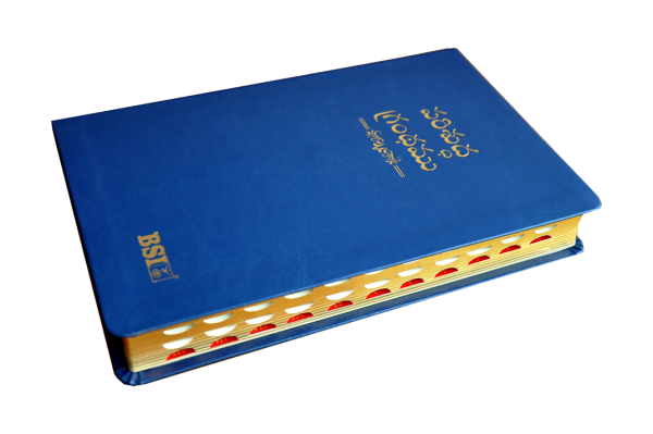 BSI Telugu Bible DU PU Thumb Index (Amity Edition) - 8 Premium Colors - Image 10