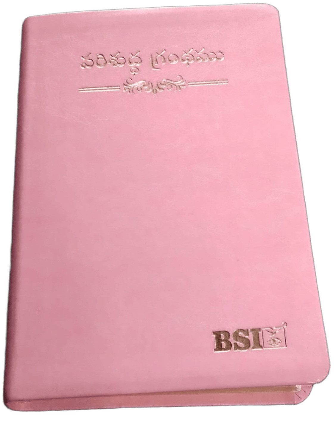 BSI Telugu Bible DU PU Thumb Index (Amity Edition) - 8 Premium Colors - Image 9