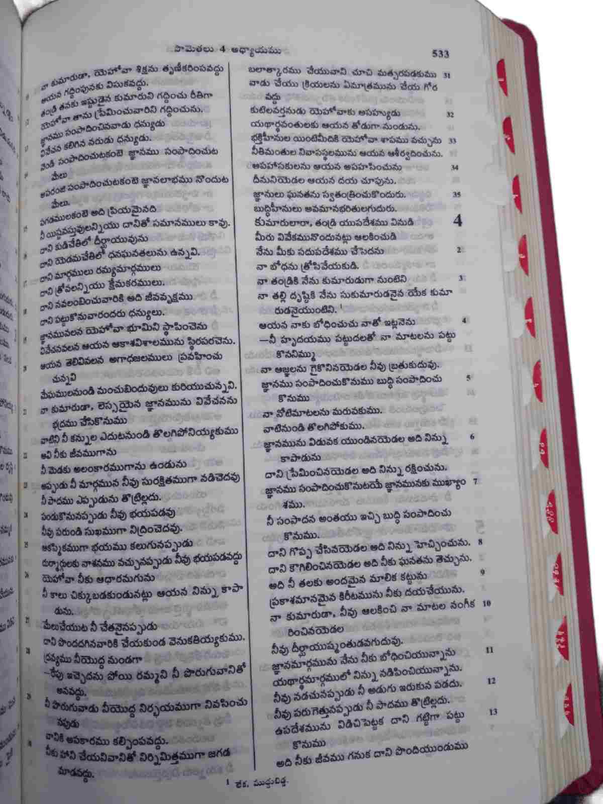 BSI Telugu Bible DU PU Thumb Index (Amity Edition) - 8 Premium Colors - Image 8