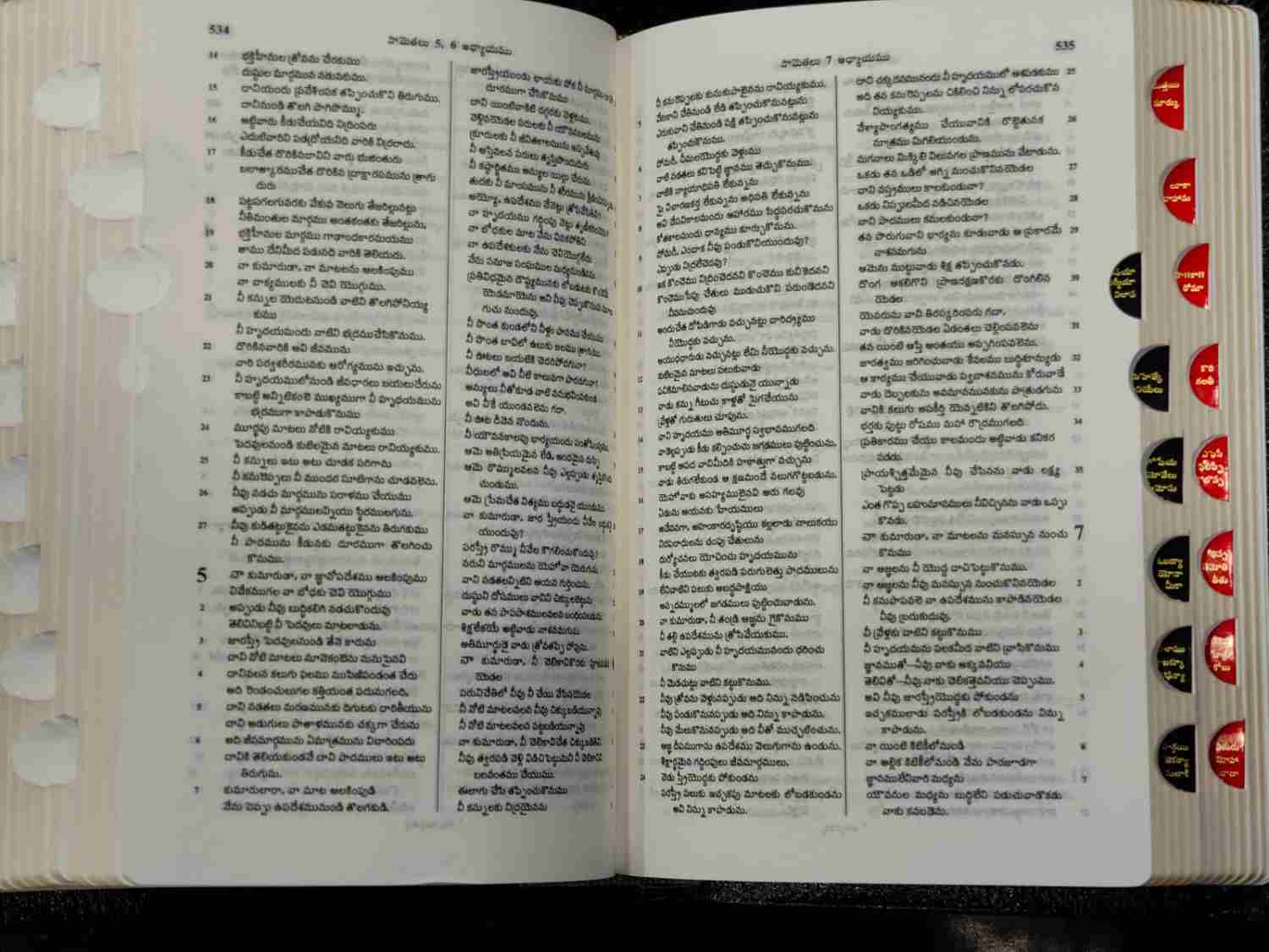 Telugu Bible Pocket Edition with Thumb Index & Yapp Edge (Black Cover) | Bible Society of India - Image 3
