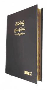 BSI Telugu Bible OV 2021 with Concordance and Thumb Index | Hard Yapp Cover | Bible Society of India (Black and Burgundy) - Image 2