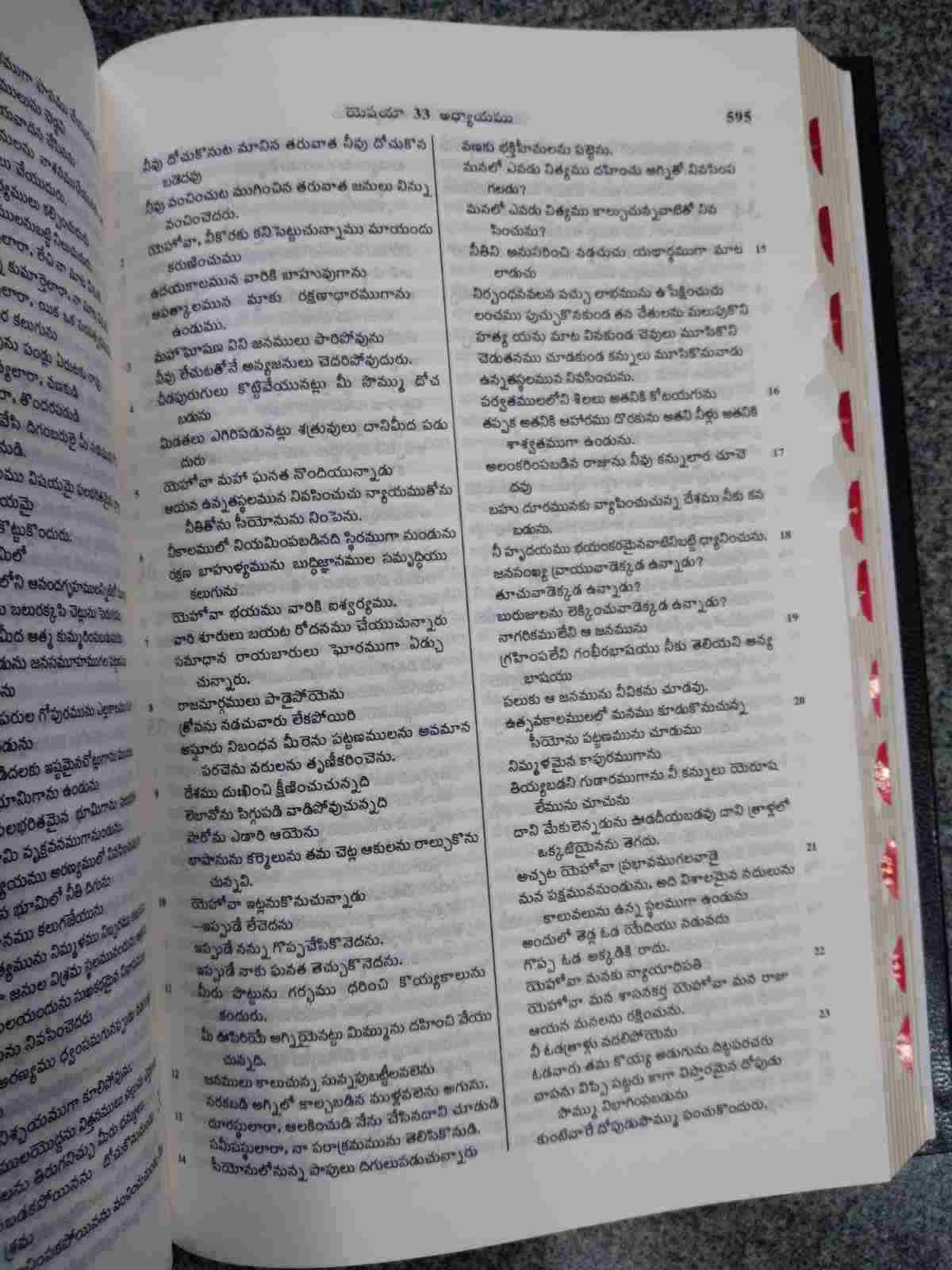 BSI Telugu Bible OV 2021 with Concordance and Thumb Index | Hard Yapp Cover | Bible Society of India (Black and Burgundy) - Image 4
