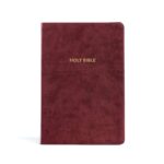 KJV Rainbow Study Bible, Burgundy LeatherTouch (ISBN: 9781087782737) — Fully Color-Coded King James Version