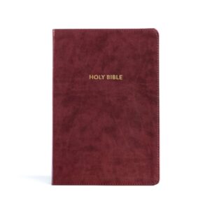 KJV Rainbow Study Bible, Burgundy LeatherTouch (ISBN: 9781087782737) — Fully Color-Coded King James Version