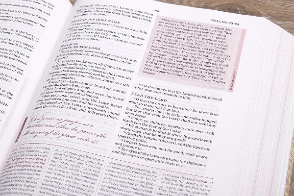 KJV Spurgeon Study Bible, Navy/Tan Clothboard | ISBN 9781462741113 - Image 2