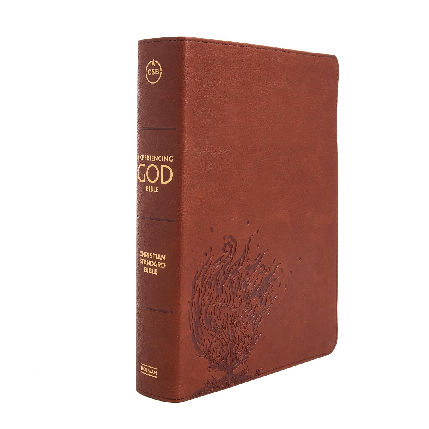 CSB Experiencing God Bible, Burnt Sienna LeatherTouch (ISBN: 9781087714189)