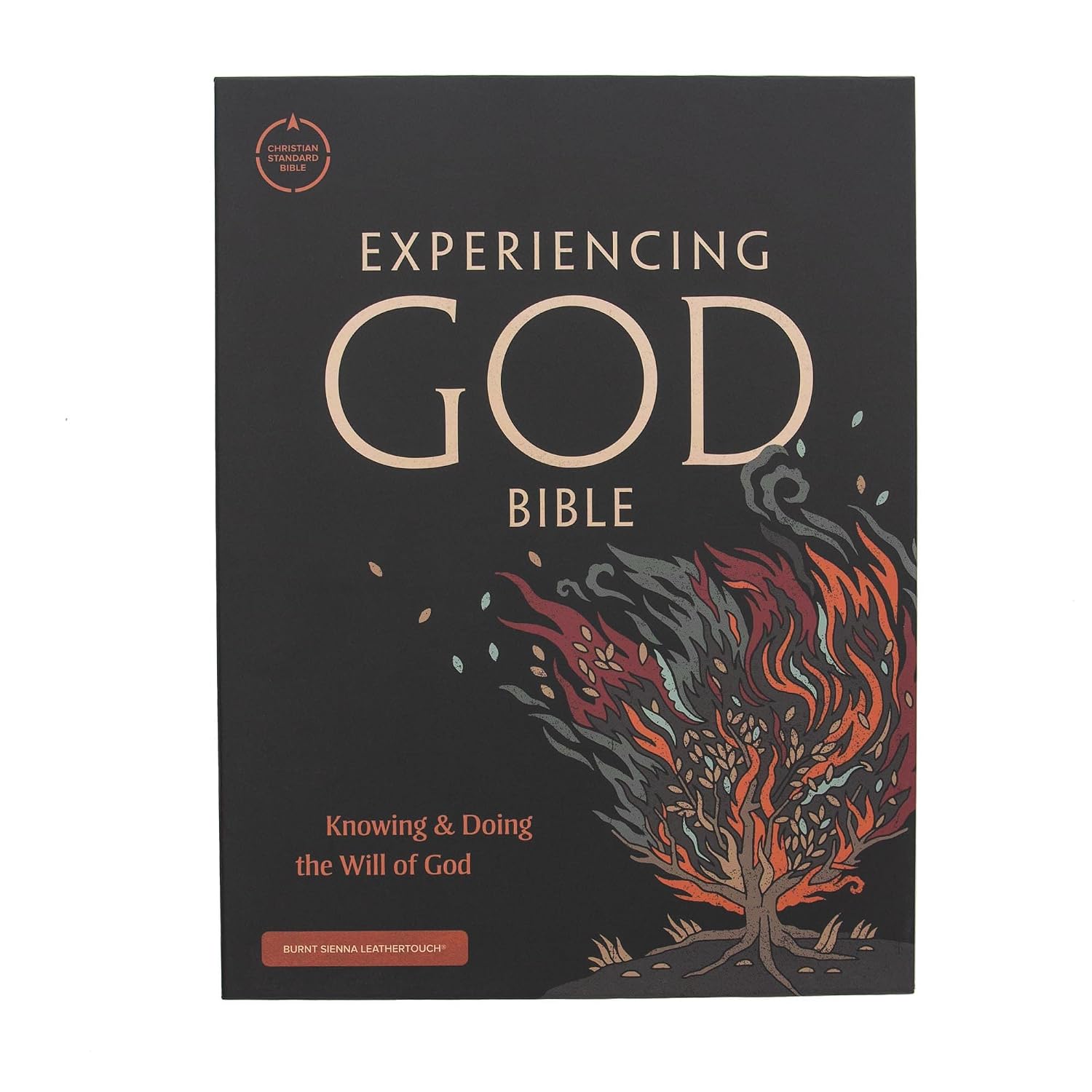 CSB Experiencing God Bible, Burnt Sienna LeatherTouch (ISBN: 9781087714189) - Image 2