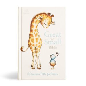KJV Great and Small Bible, Hardcover (ISBN: 9781430094722) – Beautiful Gift Edition