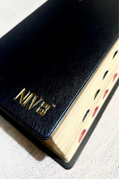 NIV Giant Print Bible with Thumb Index & Gold Gilt Edges (Blue | Black | Brown) - Image 4