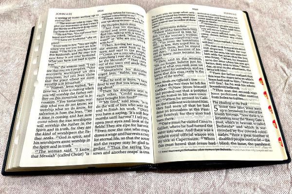 NIV Giant Print Bible with Thumb Index & Gold Gilt Edges (Blue | Black | Brown) - Image 5