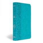 NASB Personal Size Bible LeatherTouch - Teal and Burnt Sienna