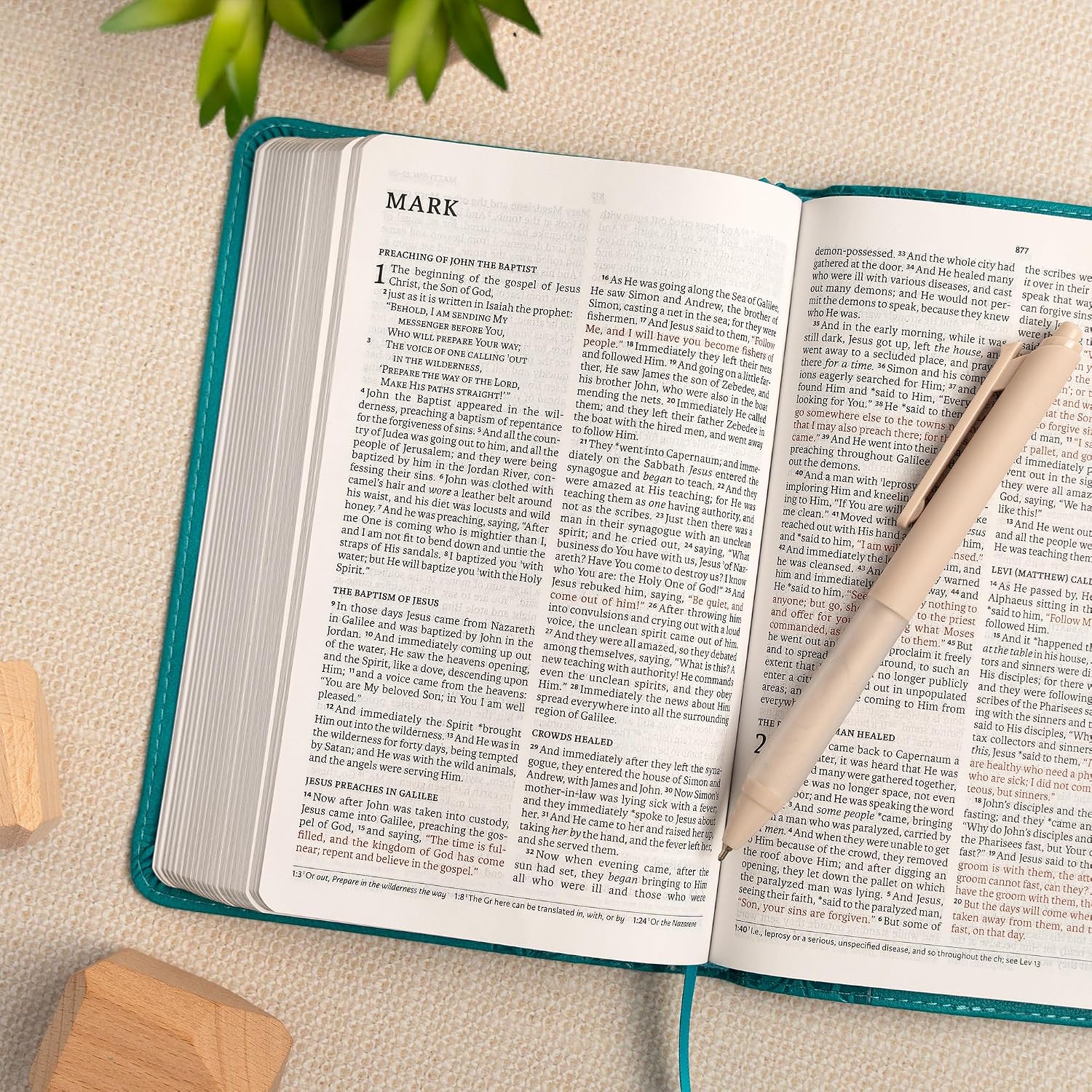 NASB Personal Size Bible LeatherTouch - Teal and Burnt Sienna - Image 2