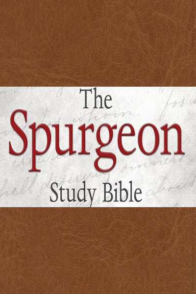 KJV Spurgeon Study Bible, Tan Leathertouch: King James Version, Tan Leathertouch | Crimson Leathertouch - Image 4