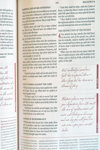 KJV Spurgeon Study Bible, Tan Leathertouch: King James Version, Tan Leathertouch | Crimson Leathertouch - Image 3