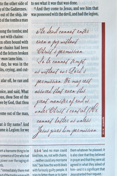 KJV Spurgeon Study Bible, Tan Leathertouch: King James Version, Tan Leathertouch | Crimson Leathertouch - Image 2